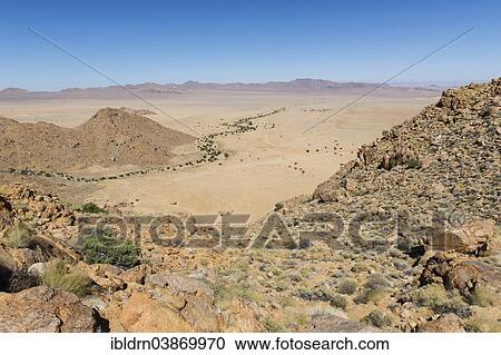 "Trees growing in a riverbed that winds through the Namib Desert, Aus, Karas, Namibia, Africa" View Large Photo Image Stock Image - "Trees growing in a riverbed that winds through the Namib Desert, Aus, Karas, Namibia, Africa". Fotosearch