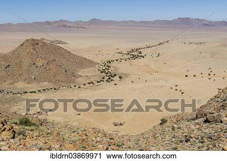 "Trees growing in a riverbed that winds through the Namib Desert, Aus, Karas, Namibia, Africa" View Large Photo Image Stock Image - "Trees growing in a riverbed that winds through the Namib Desert, Aus, Karas, Namibia, Africa". Fotosearch