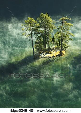 "Trees in the morning mist on a small island in Fernsteinsee Lake, nassereith, Tyrolean Oberland, Tyrol, Austria, Europe" View Large Photo Image Stock Image - "Trees in the morning mist on a small island in Fernsteinsee Lake, nassereith, Tyrolean Oberland, Tyrol, Austria, Europe". Fotosearch