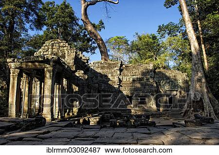 "Trees overgrowing the temple complex of Ta Prohm, Ta Prohm, Siem Reap, Siem Reap Province, Cambodia, Asia" View Large Photo Image Stock Photo - "Trees overgrowing the temple complex of Ta Prohm, Ta Prohm, Siem Reap, Siem Reap Province, Cambodia, Asia". Fotosearch