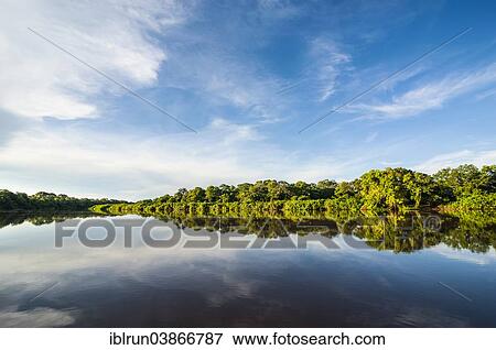 Stock Photo - "Trees reflecting in the water in a river, Pantanal, UNESCO World Heritage Site, Mato Grosso do Sul, Brazil, South America". Fotosearch