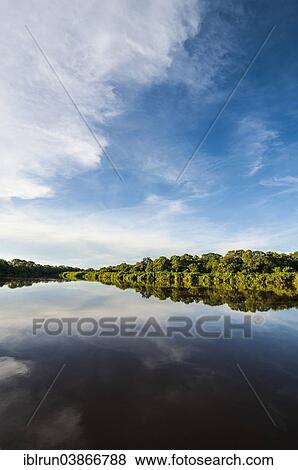 "Trees reflecting in the water in a river, Pantanal, UNESCO World Heritage Site, Mato Grosso do Sul, Brazil, South America" View Large Photo Image Stock Photo - "Trees reflecting in the water in a river, Pantanal, UNESCO World Heritage Site, Mato Grosso do Sul, Brazil, South America". Fotosearch