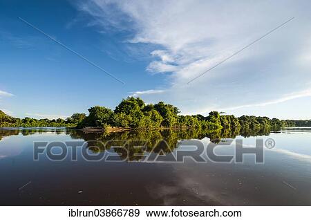 Stock Photo - "Trees reflecting in the water in a river, Pantanal, UNESCO World Heritage Site, Mato Grosso do Sul, Brazil, South America". Fotosearch