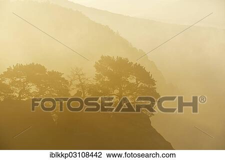 Stock Image - "Trees with backlighting on the rocks of Schrammsteine? Çï? Çïin the morning mist, Saxon Switzerland, Bad Schandau, Saxon Switzerland region, Saxony, Germany, Europe". Fotosearch