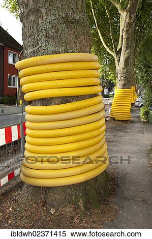 "Trees wrapped in plastic pipes, construction site, renewal of supply lines, Im Telgei street, Dortmund, Ruhr area, North Rhine-Westphalia, Germany, Europe, PublicGround, Europe" View Large Photo Image Stock Photography - "Trees wrapped in plastic pipes, construction site, renewal of supply lines, Im Telgei street, Dortmund, Ruhr area, North Rhine-Westphalia, Germany, Europe, PublicGround, Europe". Fotosearch