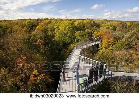 "Treetop trail, Hainich National Park, Hainich, Bad Langensalza, Thuringia, Germany, Europe" View Large Photo Image Stock Image - "Treetop trail, Hainich National Park, Hainich, Bad Langensalza, Thuringia, Germany, Europe". Fotosearch