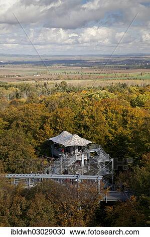 Stock Image - "Treetop trail, Hainich National Park, Hainich, Bad Langensalza, Thuringia, Germany, Europe". Fotosearch