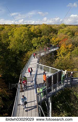 "Treetop trail, Hainich National Park, Hainich, Bad Langensalza, Thuringia, Germany, Europe" View Large Photo Image Stock Photo - "Treetop trail, Hainich National Park, Hainich, Bad Langensalza, Thuringia, Germany, Europe". Fotosearch