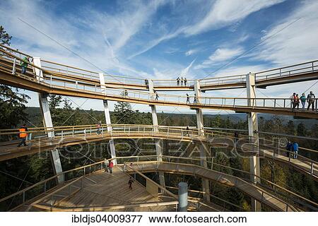"Treetop trail on Mt Sommerberg, Bad Wildbad, Black Forest, Baden-Wurttemberg, Germany, Europe" View Large Photo Image Stock Photo - "Treetop trail on Mt Sommerberg, Bad Wildbad, Black Forest, Baden-Wurttemberg, Germany, Europe". Fotosearch