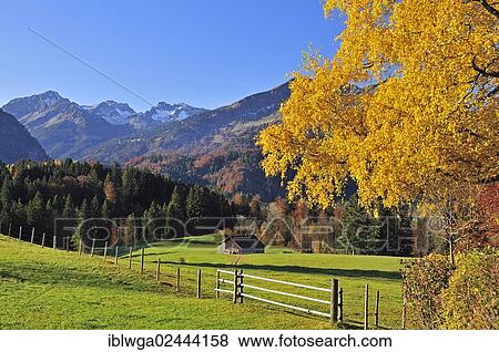 "Trettachtal valley, Oberstdorf, Allgaeu Alps, Upper Allgaeu region, Bavaria, Germany, Europe, PublicGround, Europe" View Large Photo Image Stock Photo - "Trettachtal valley, Oberstdorf, Allgaeu Alps, Upper Allgaeu region, Bavaria, Germany, Europe, PublicGround, Europe". Fotosearch