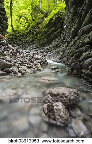 "Tributary of the Taugl river, Hallein District, Salzburg, Austria, Europe" View Large Photo Image Stock Image - "Tributary of the Taugl river, Hallein District, Salzburg, Austria, Europe". Fotosearch
