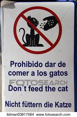"Trilingual sign, Do not feed the cats, Spanish, English and German, El Remo in Puerto Naos, La Palma, Canary Islands, Spain, Europe" View Large Photo Image Picture - "Trilingual sign, Do not feed the cats, Spanish, English and German, El Remo in Puerto Naos, La Palma, Canary Islands, Spain, Europe". Fotosearch