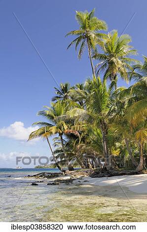 Stock Image - "Tropical island, beach with palm trees, Cayos los Grullos, San Blas Islands, Panama, North America". Fotosearch