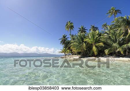 Stock Image - "Tropical island, beach with palm trees, Cayos los Grullos, San Blas Islands, Panama, North America". Fotosearch