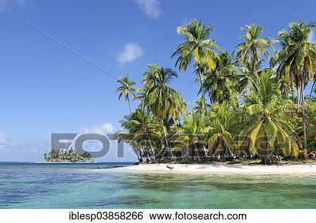 Stock Photograph - "Tropical island, beach with palm trees, Cayos los Grullos, San Blas Islands, Panama, North America". Fotosearch