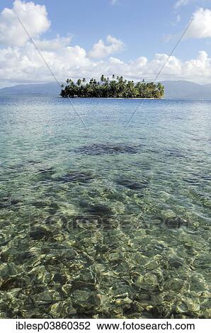 "Tropical island with palm trees, Cayos Los Grullos, Mamartupo, San Blas Islands, Panama, North America" View Large Photo Image Stock Image - "Tropical island with palm trees, Cayos Los Grullos, Mamartupo, San Blas Islands, Panama, North America". Fotosearch