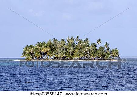 Stock Photo - "Tropical island with palm trees, Cayos Los Grullos, San Blas Islands, Panama, North America". Fotosearch