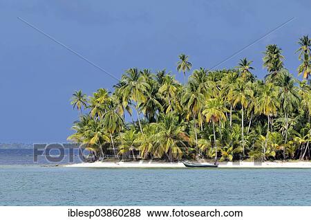 Stock Photo - "Tropical island with palm trees, Cayos Los Grullos, Mamartupo, San Blas Islands, Panama, North America". Fotosearch