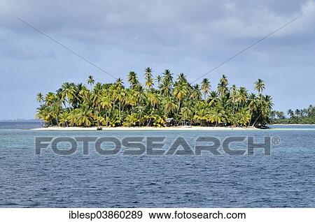 Stock Photo - "Tropical island with palm trees, Cayos Los Grullos, Mamartupo, San Blas Islands, Panama, North America". Fotosearch