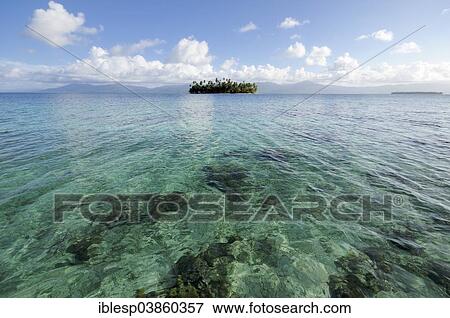 "Tropical island with palm trees, Cayos Los Grullos, Mamartupo, San Blas Islands, Panama, North America" View Large Photo Image Stock Photo - "Tropical island with palm trees, Cayos Los Grullos, Mamartupo, San Blas Islands, Panama, North America". Fotosearch