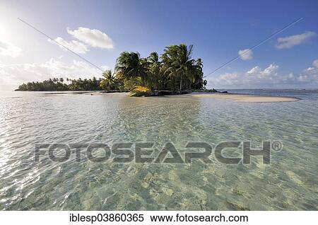 Stock Photography - "Tropical island with palm trees, Cayos Los Grullos, Mamartupo, San Blas Islands, Panama, North America". Fotosearch