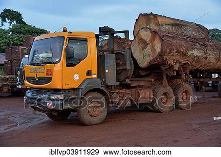 "Tropical timber, logs on a truck near Goumela, South-West Region, Cameroon, Africa" View Large Photo Image Stock Photo - "Tropical timber, logs on a truck near Goumela, South-West Region, Cameroon, Africa". Fotosearch