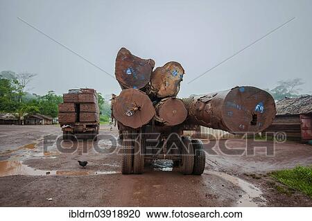 Stock Image - "Tropical timber on a truck, Goumela, East Region, Cameroon, Africa". Fotosearch