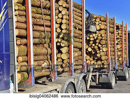 "Truck with trailer, loaded with pine logs, Bavaria, Germany, Europe" View Large Photo Image Stock Photograph - "Truck with trailer, loaded with pine logs, Bavaria, Germany, Europe". Fotosearch
