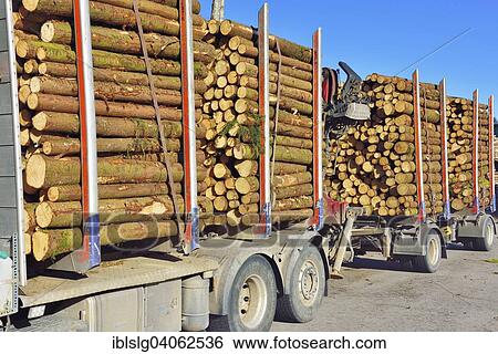 "Truck with trailer, loaded with pine logs, Bavaria, Germany, Europe" View Large Photo Image Stock Photograph - "Truck with trailer, loaded with pine logs, Bavaria, Germany, Europe". Fotosearch
