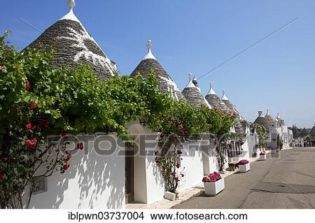 "Trulli houses of Alberobello, Puglia, Italy, Europe" View Large Photo Image Picture - "Trulli houses of Alberobello, Puglia, Italy, Europe". Fotosearch
