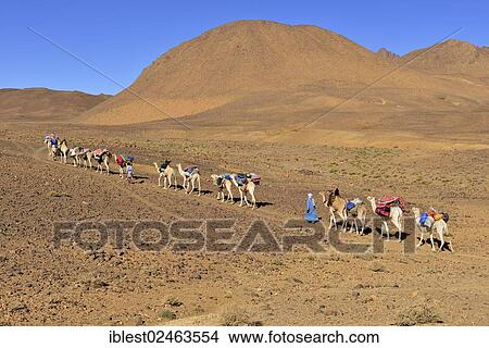 Picture - "Tuareg men, camel caravan, Sahara, Atakor, Hoggar Gebirge, Tamanrasset Province, Algeria, Africa". Fotosearch