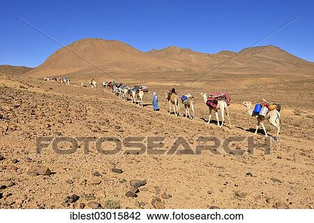 "Tuareg men with a camel caravan at Atakor, Hoggar Mountains, Atakor, Tamanrasset Province, Algeria, Africa" View Large Photo Image Stock Image - "Tuareg men with a camel caravan at Atakor, Hoggar Mountains, Atakor, Tamanrasset Province, Algeria, Africa". Fotosearch