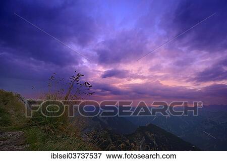 Stock Photo - "Tuft of grass at dusk, mountain scenery at back, Ammergau Alps, Reutte, Reutte District, Tyrol, Austria, Europe". Fotosearch