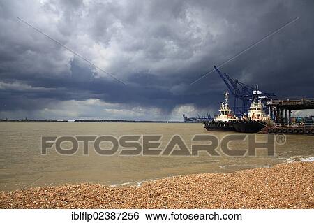 "Tugboats moored at harbour of container port with passing rainclouds, Port of Felixstowe, Felixstowe, Suffolk, England, United Kingdom, Europe" View Large Photo Image Stock Photograph - "Tugboats moored at harbour of container port with passing rainclouds, Port of Felixstowe, Felixstowe, Suffolk, England, United Kingdom, Europe". Fotosearch