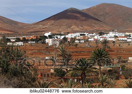 "Tuineye, Fuerteventura, Canary Islands, Spain, Europe" View Large Photo Image Stock Photograph - "Tuineye, Fuerteventura, Canary Islands, Spain, Europe". Fotosearch