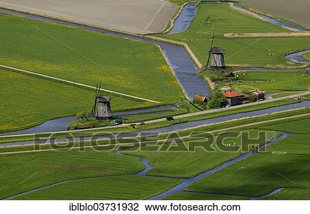 Stock Image - "Tulip fields, aerial view, Noord-Beemster, Beemster, province of North Holland, The Netherlands, Europe". Fotosearch