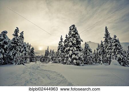 "Turnagain Pass in winter, Alaska" View Large Photo Image Stock Image - "Turnagain Pass in winter, Alaska". Fotosearch