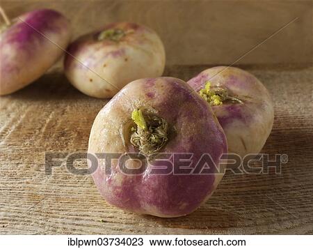 Turnip roots View Large Photo Image Stock Image - Turnip roots. Fotosearch