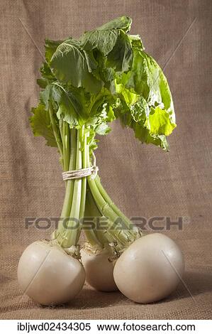 Turnips View Large Photo Image Stock Photography - Turnips. Fotosearch