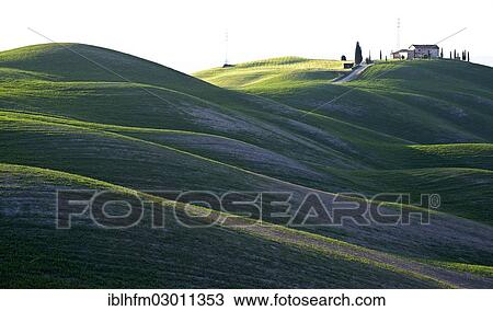 Stock Image - "Tuscan country house in a hilly landscape, Crete Senesi, Siena, Tuscany, Italy, Europe". Fotosearch