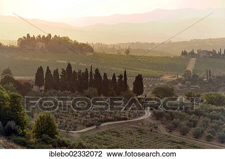 "Tuscan landscape in the morning light, view eastwards, Barberino, Tuscany, Italy, Europe" View Large Photo Image Stock Image - "Tuscan landscape in the morning light, view eastwards, Barberino, Tuscany, Italy, Europe". Fotosearch
