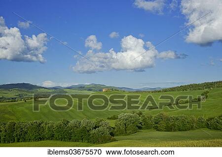 "Tuscan landscape, Tuscany, Italy, Europe" View Large Photo Image Stock Image - "Tuscan landscape, Tuscany, Italy, Europe". Fotosearch