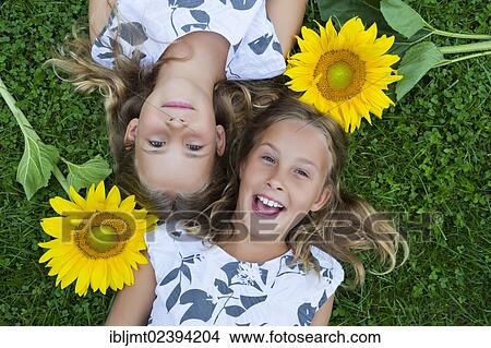 "Twin girls, 9, lying on the grass with sunflowers" View Large Photo Image Picture - "Twin girls, 9, lying on the grass with sunflowers". Fotosearch