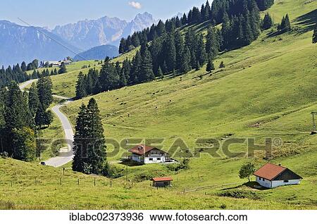 Stock Photograph - "Two alpine cabins and grazing cows, Sudelfeld region, Bavaria, Germany, Europe". Fotosearch