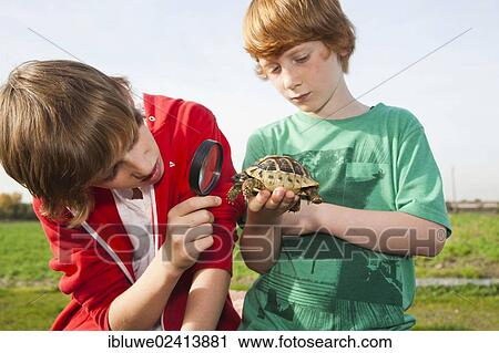 Stock Image - Two boys examining a turtle with a magnifying glass. Fotosearch