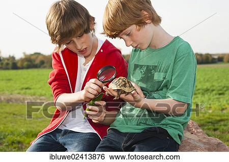 Two boys examining a turtle with a magnifying glass View Large Photo Image Stock Photograph - Two boys examining a turtle with a magnifying glass. Fotosearch