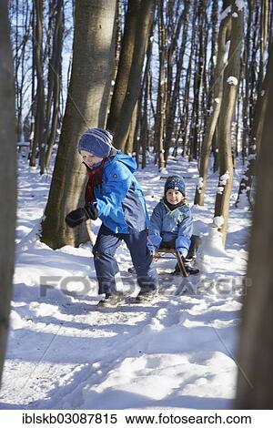 Stock Photography - Two boys with sledge in a forest. Fotosearch
