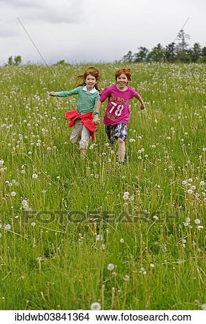 Picture - "Two children running on a meadow with blowballs, Bavarian Forest National Park, Lower Bavaria, Bavaria, Germany, Europe". Fotosearch