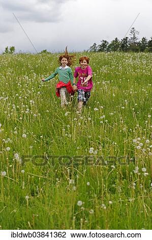 Stock Image - "Two children running on a meadow with blowballs, Bavarian Forest National Park, Lower Bavaria, Bavaria, Germany, Europe". Fotosearch
