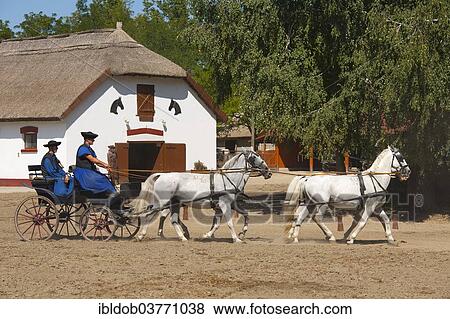 "Two Csikos in a horse-drawn carriage, Tanyacsarda Stud, Kecskemet, Puszta, Hungary, Europe" View Large Photo Image Stock Photo - "Two Csikos in a horse-drawn carriage, Tanyacsarda Stud, Kecskemet, Puszta, Hungary, Europe". Fotosearch